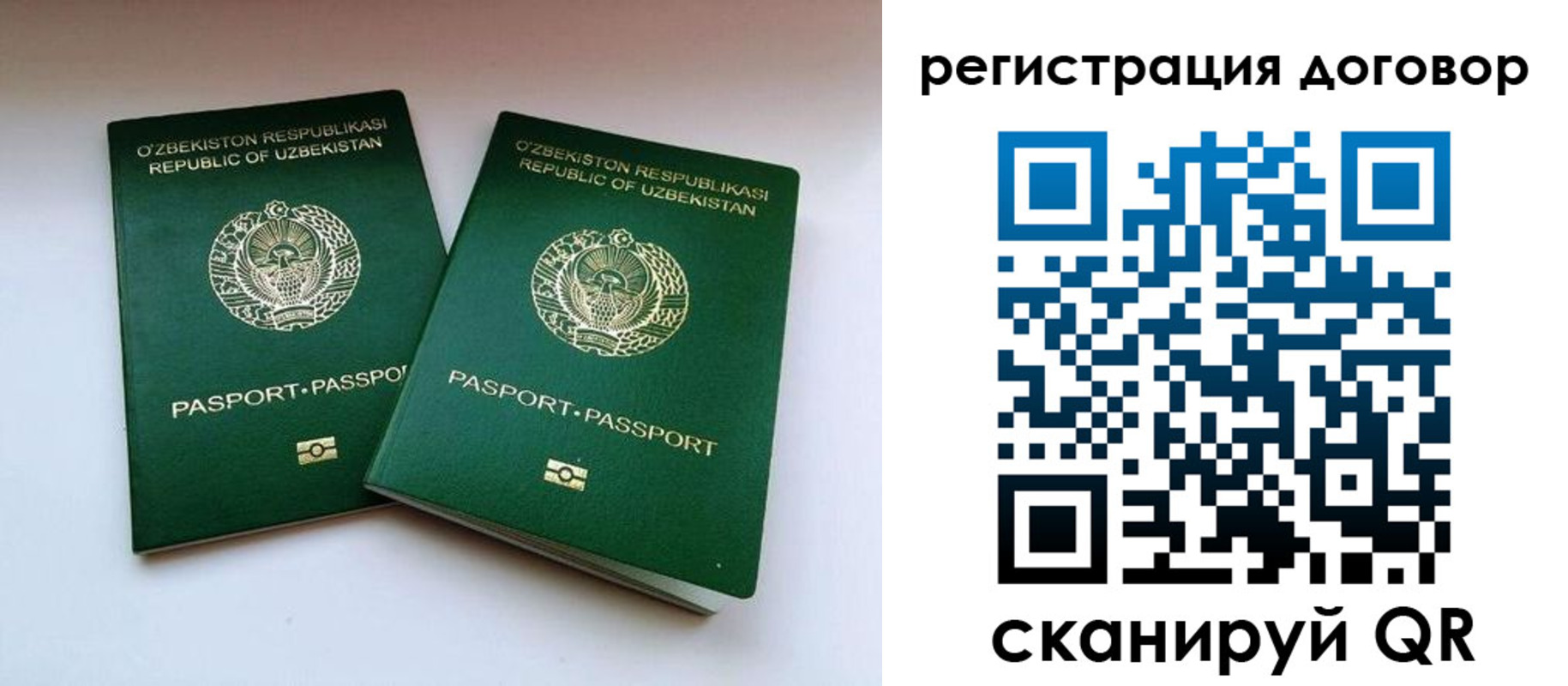 миграционный учет в Калмыкии